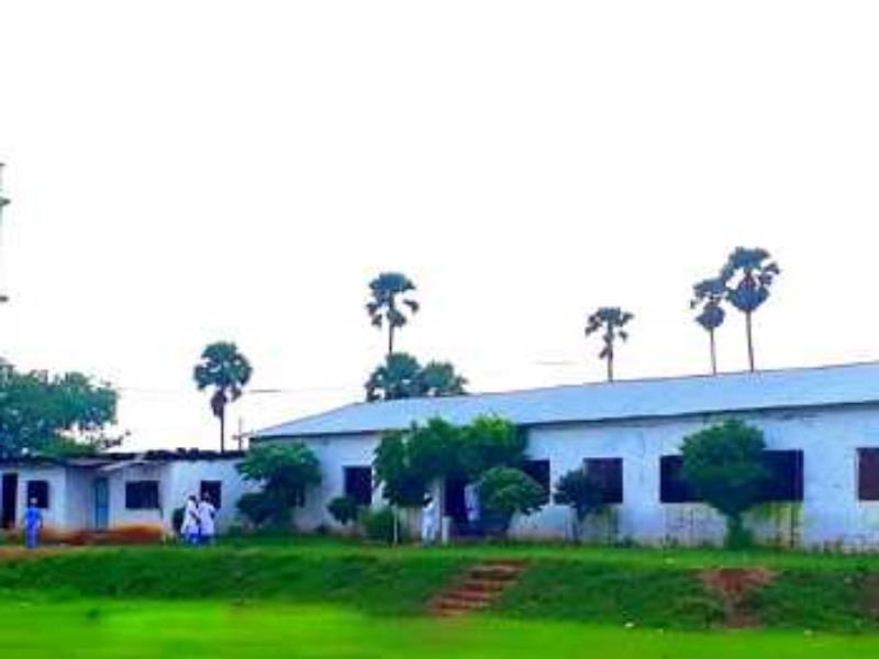 Madrasa Development